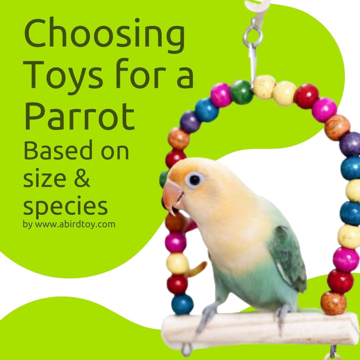 How To Choose the Right Toys for Your Parrot (And Why It's Important)