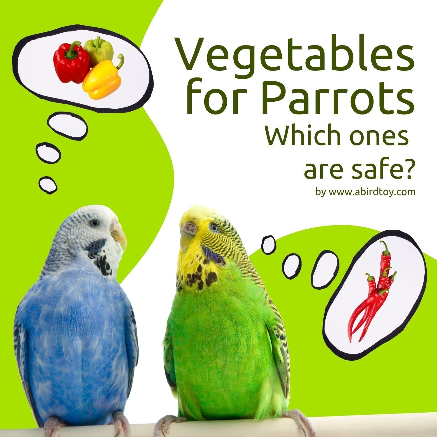 Image of two budgies with text saying: Vegetables for parrots | Which ones are safe?