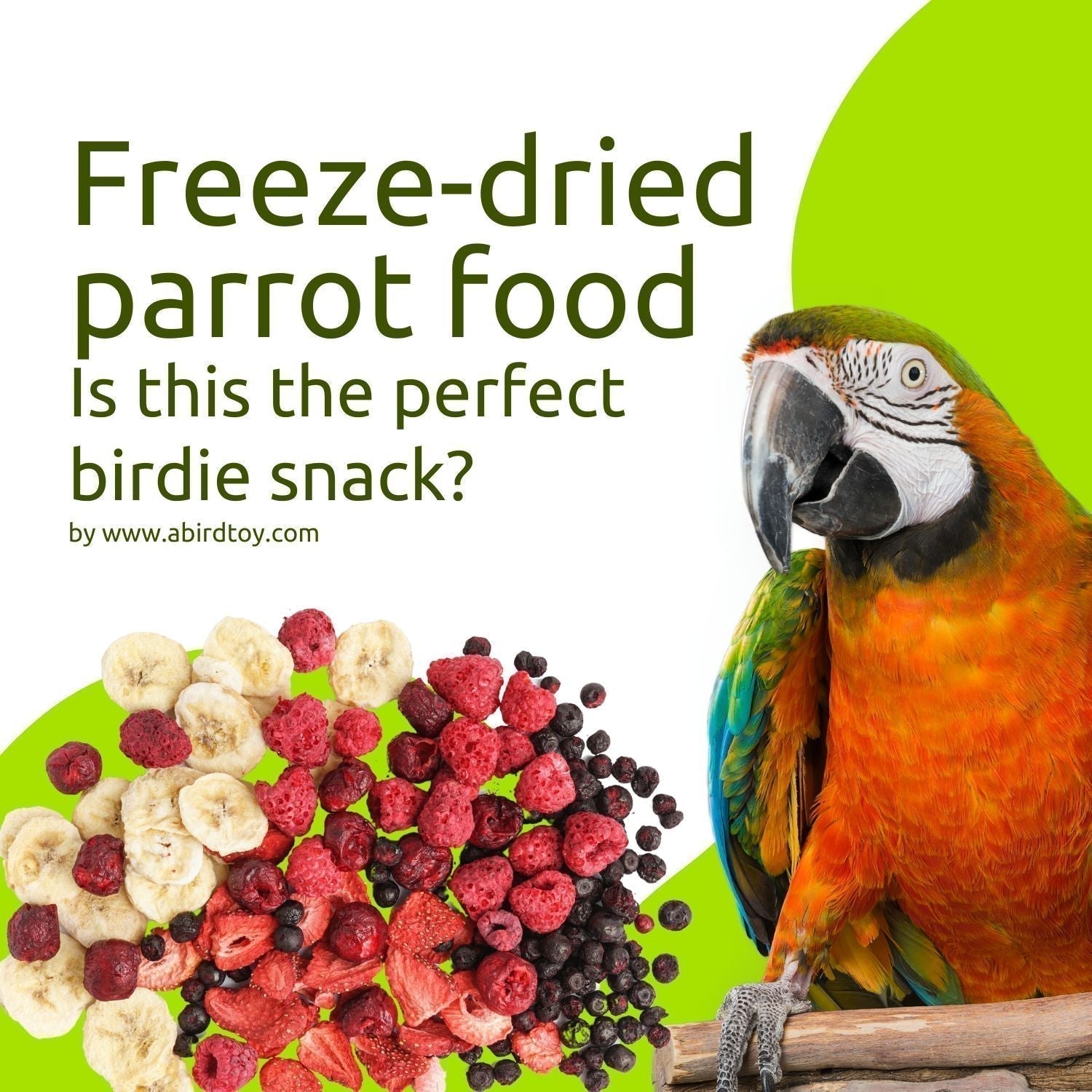 Why Freeze Dried Bird Food Is The Healthy Option For Your Parrot
