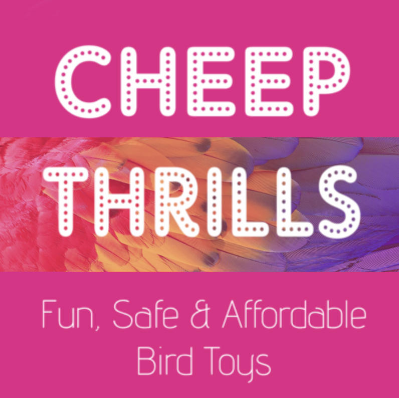 Cheep Thrills Bird Toys