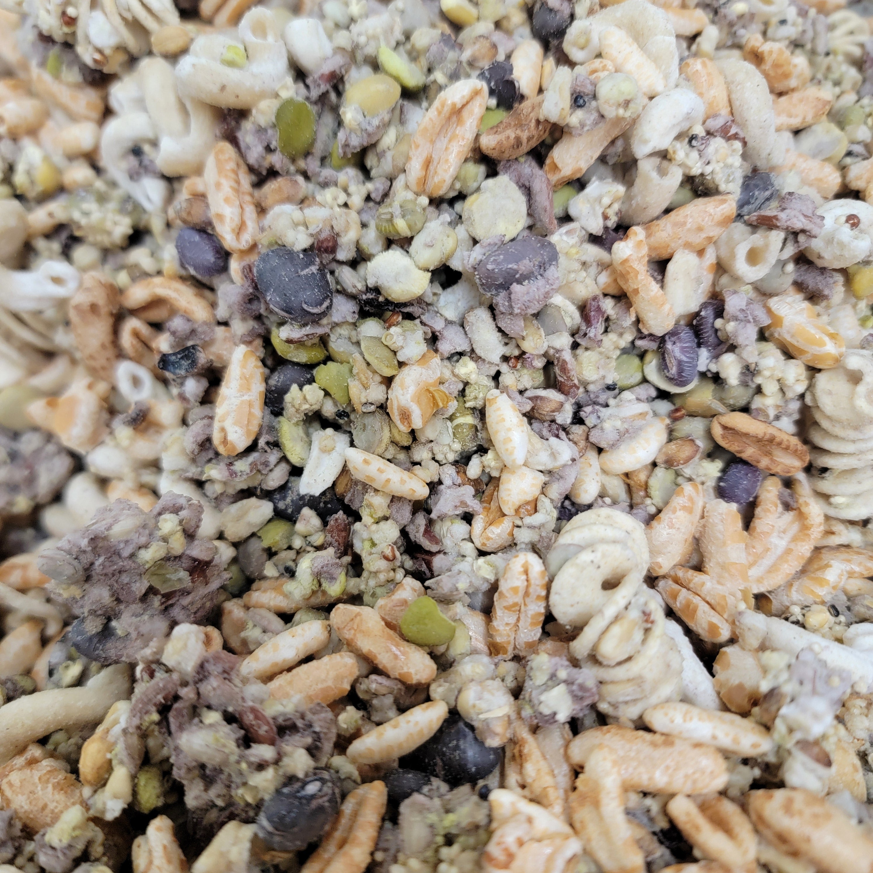 Whole Balance by Bird Bites - Cooked & Freeze Dried Grains & Legumes