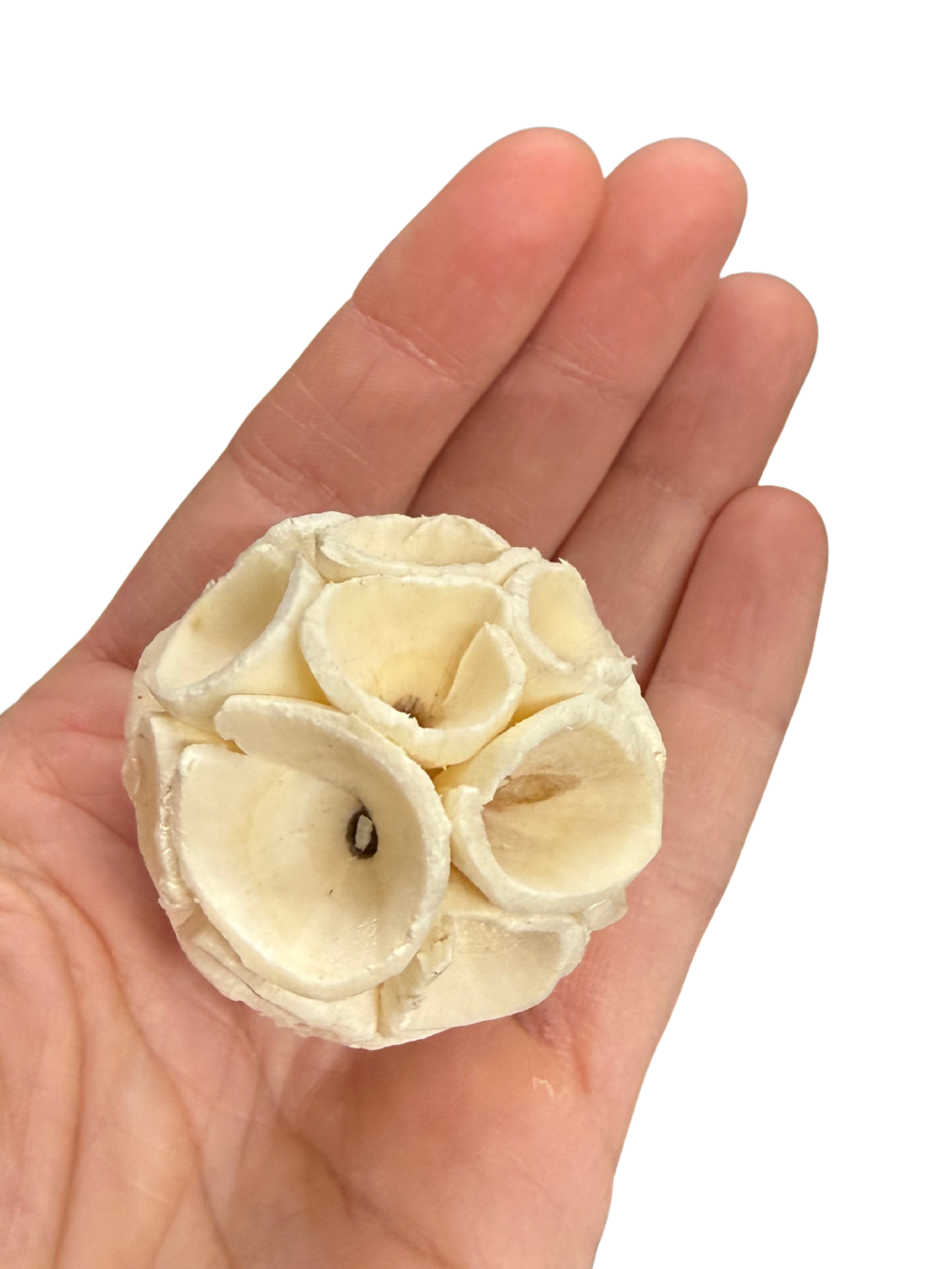 2" Sola Crepe Balls - 10 Pack