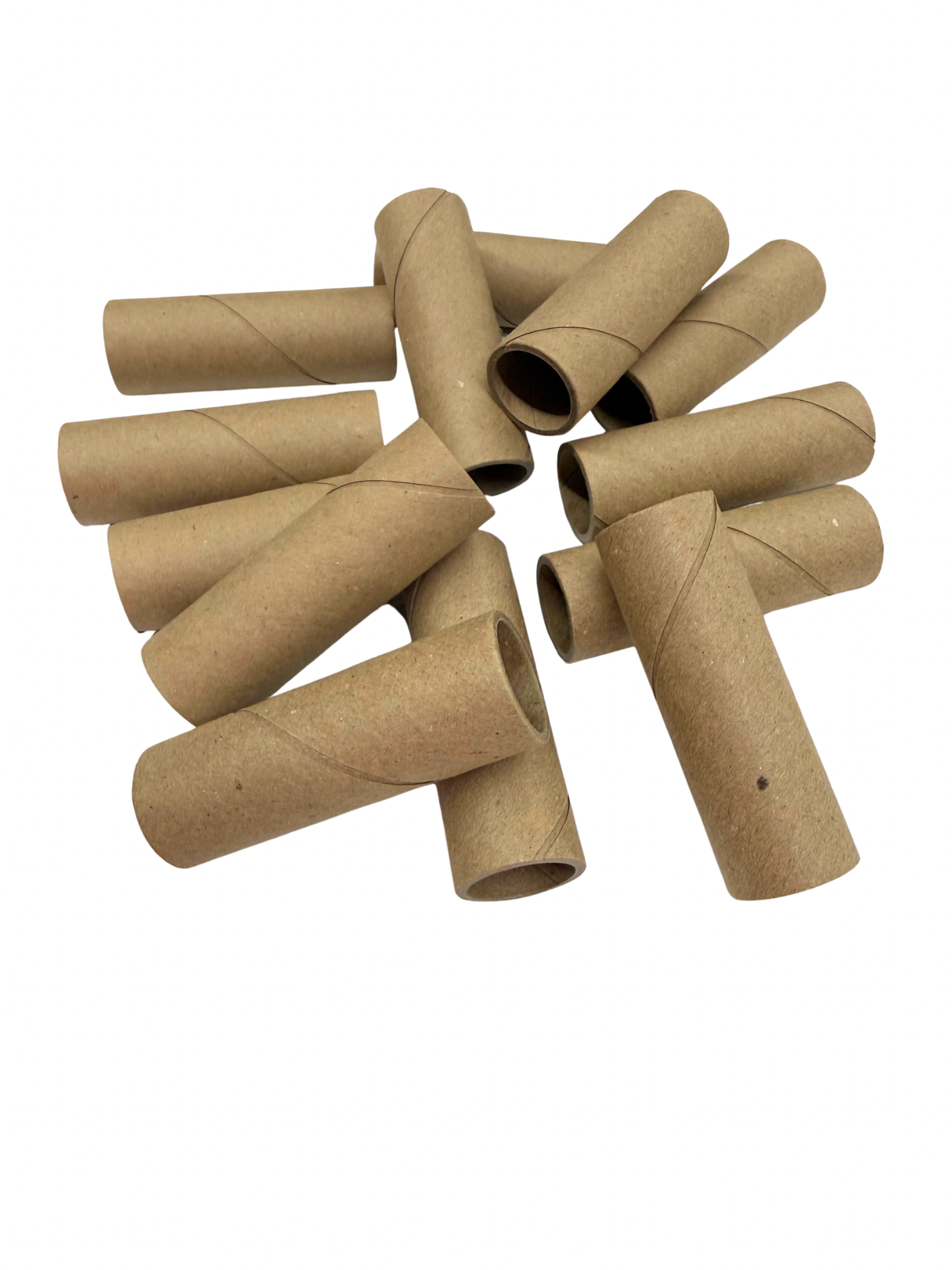 3" Birdie Bagel Tubes - 10 Pack
