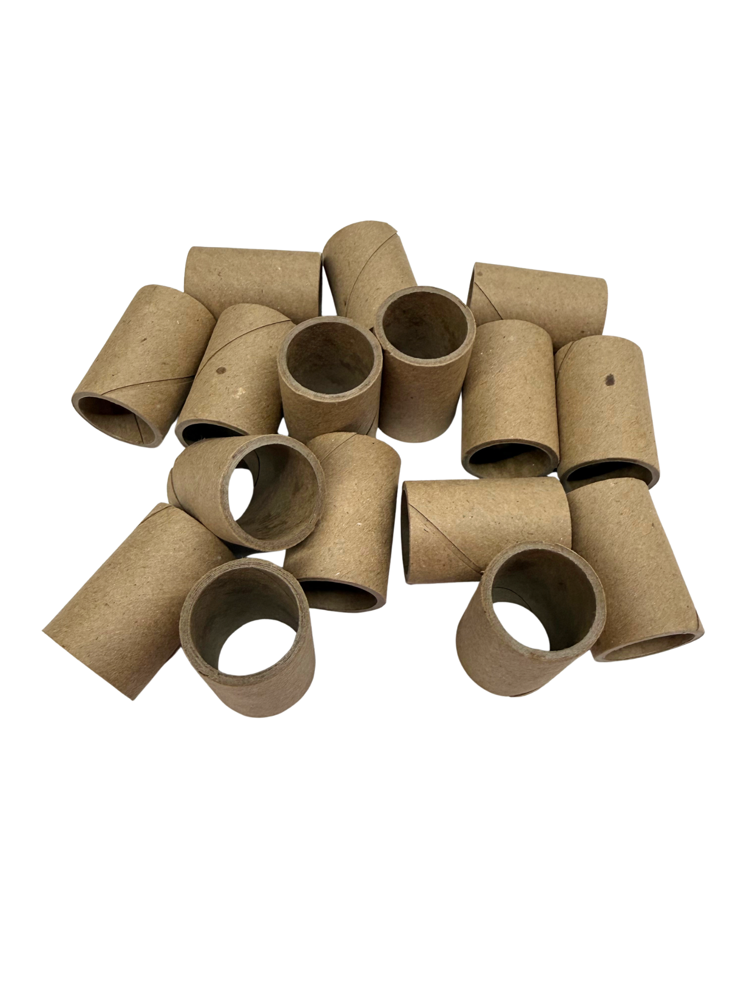 1.5" Birdie Bagel Tubes - 10 Pack