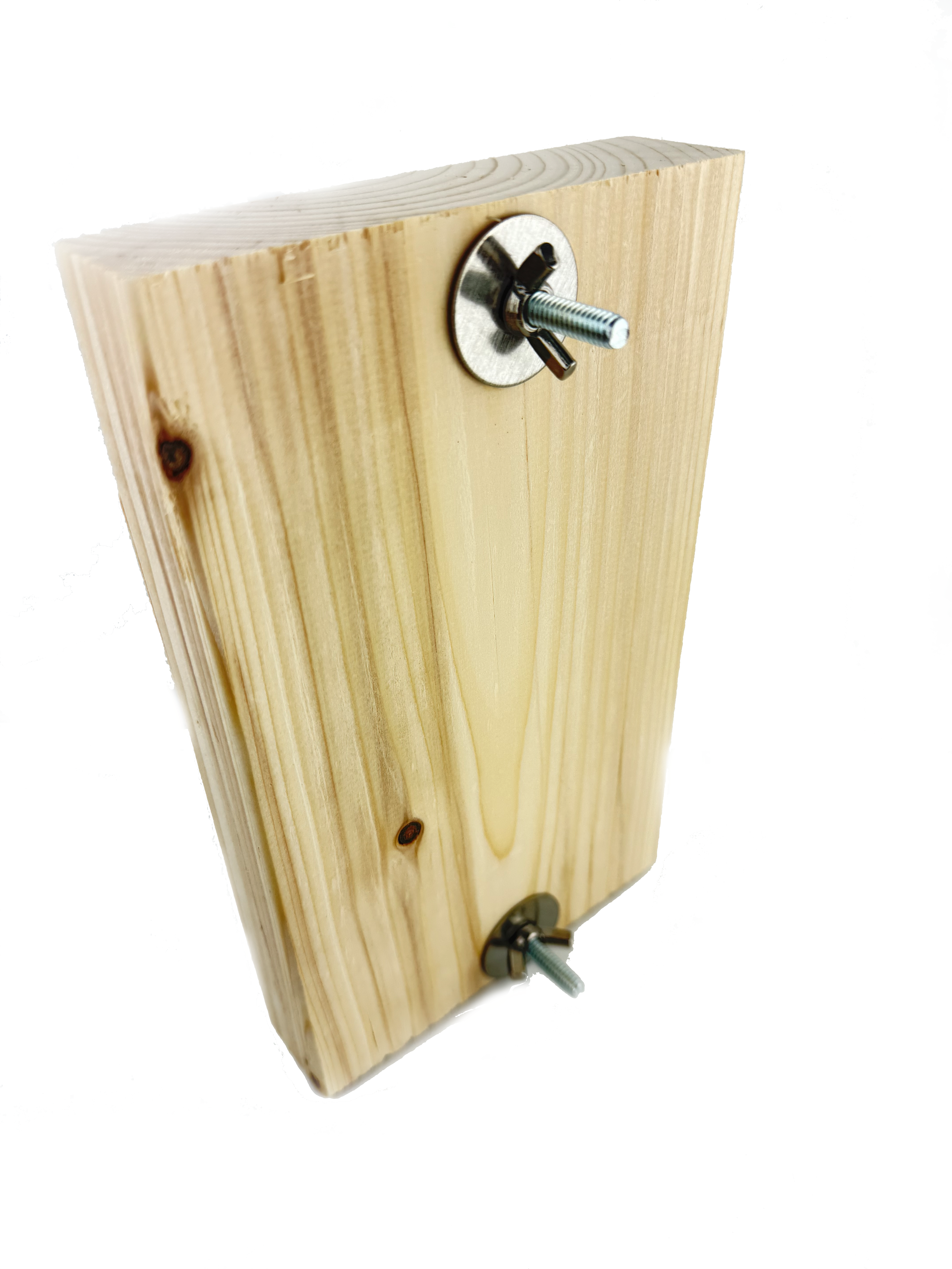 The Busy Beehive - by Cheep Thrills