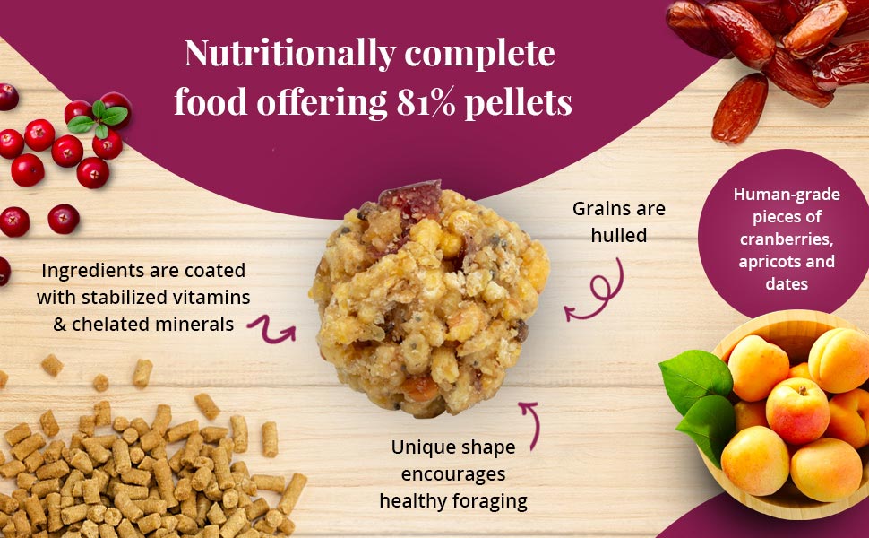 Pellet-Berries for Parrots 2.75 lb