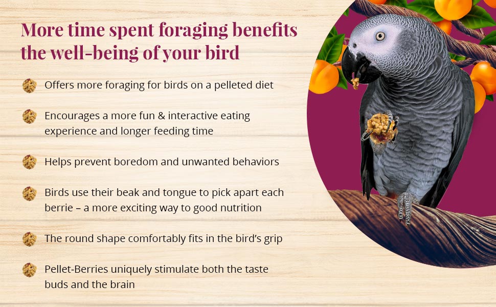Pellet-Berries for Parrots 10 oz