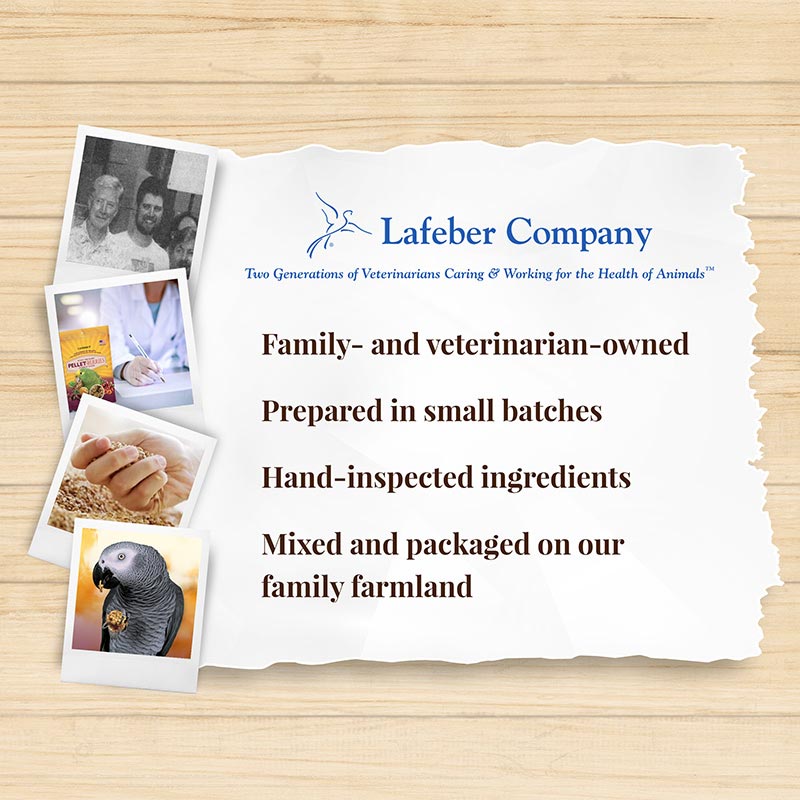 Pellet-Berries for Parrots 10 oz