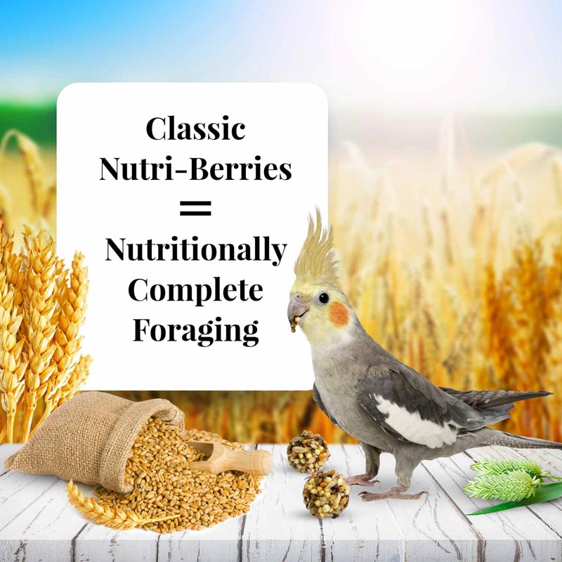 Cockatiel & Lovebird Nutri-Berries 4 lb (1.18 kg)