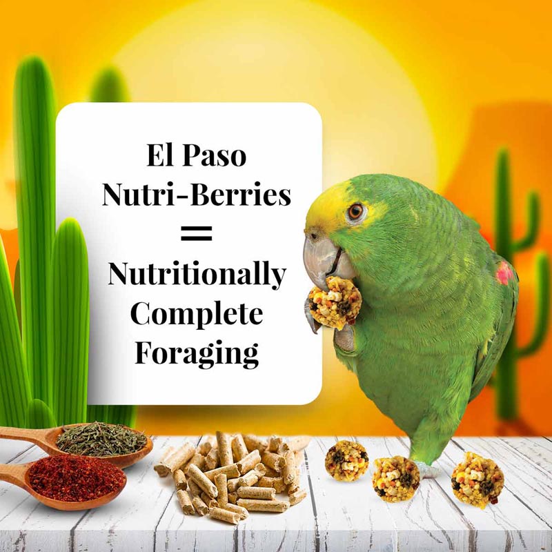 El Paso Nutri-Berries for Parrots 3 lb (1.36 kg)