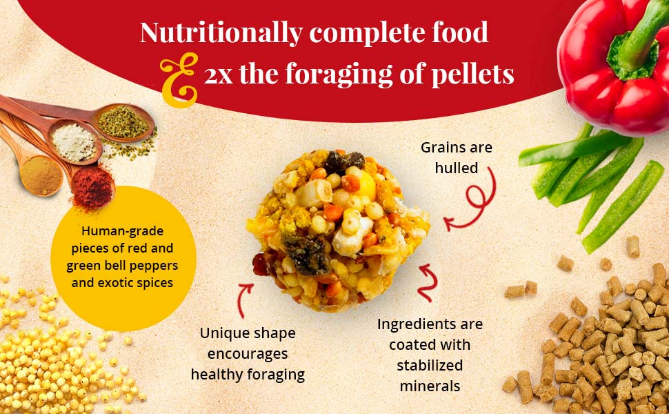 El Paso Nutri-Berries for Parrots 3 lb (1.36 kg)