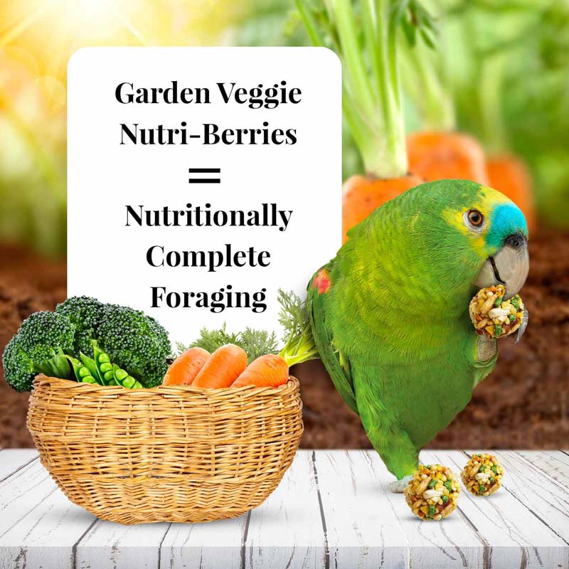 Garden Veggie Nutri-Berries for Parrots 10 oz (284 g)