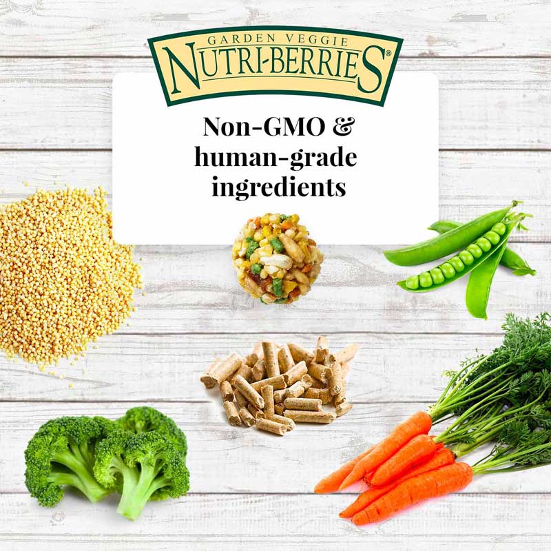 Garden Veggie Nutri-Berries for Parrots 10 oz (284 g)