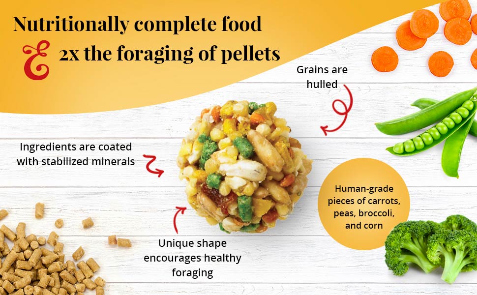 Garden Veggie Nutri-Berries for Parrots 3 lb (1.36 kg)