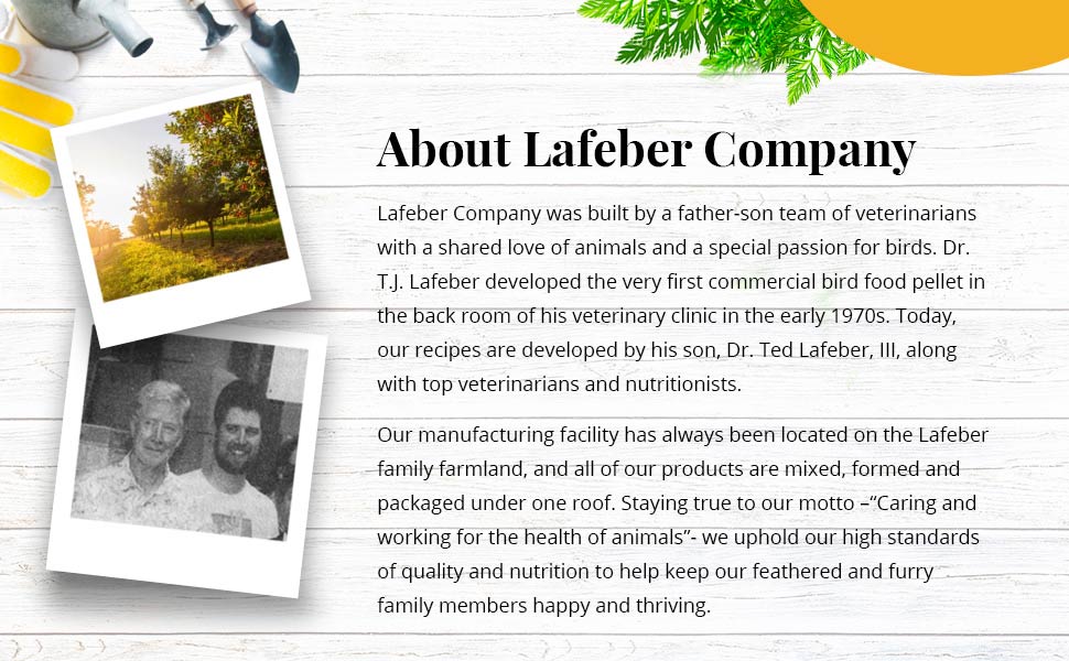 Garden Veggie Nutri-Berries for Parrots 3 lb (1.36 kg)