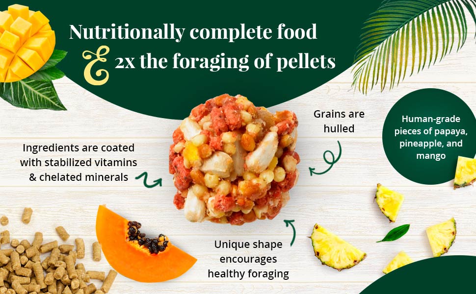 Tropical Fruit Nutri-Berries for Parrots 3 lb (1.36 kg)