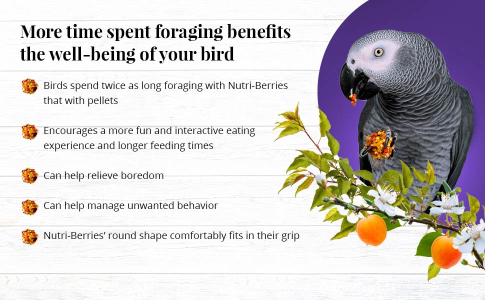 Sunny Orchard Nutri-Berries for Parrots 3 lb (1.36 kg)