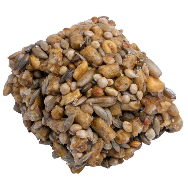 Classic Avi-Cakes for Macaw 16 oz