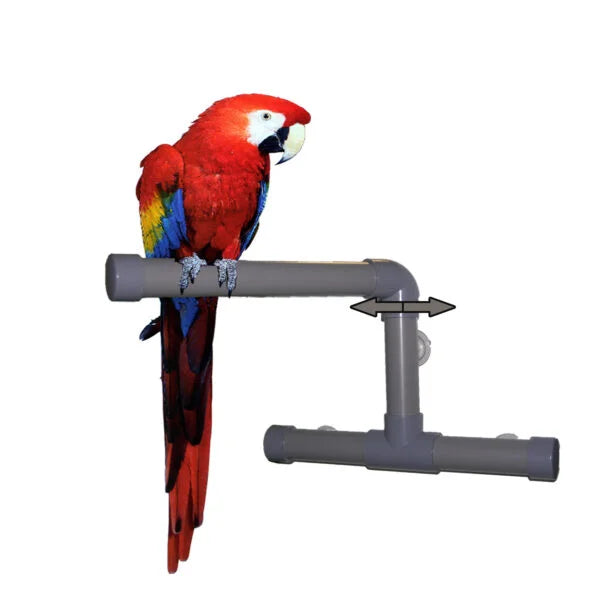 Large Shower and Window Perch by Fun Max-Zoo Max