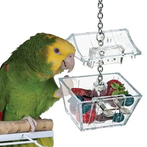 Parrot's Treasure Bird Toy by Caitec Creative Foraging Systems