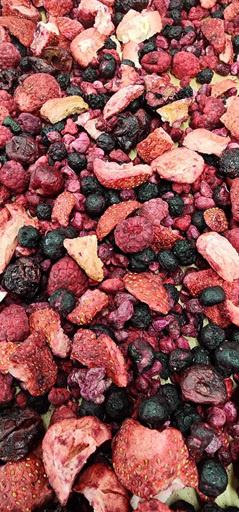 100% Antioxidant Power Fruits - 1.5 Cups - Bird Bites Healthy Freeze Dried Treats