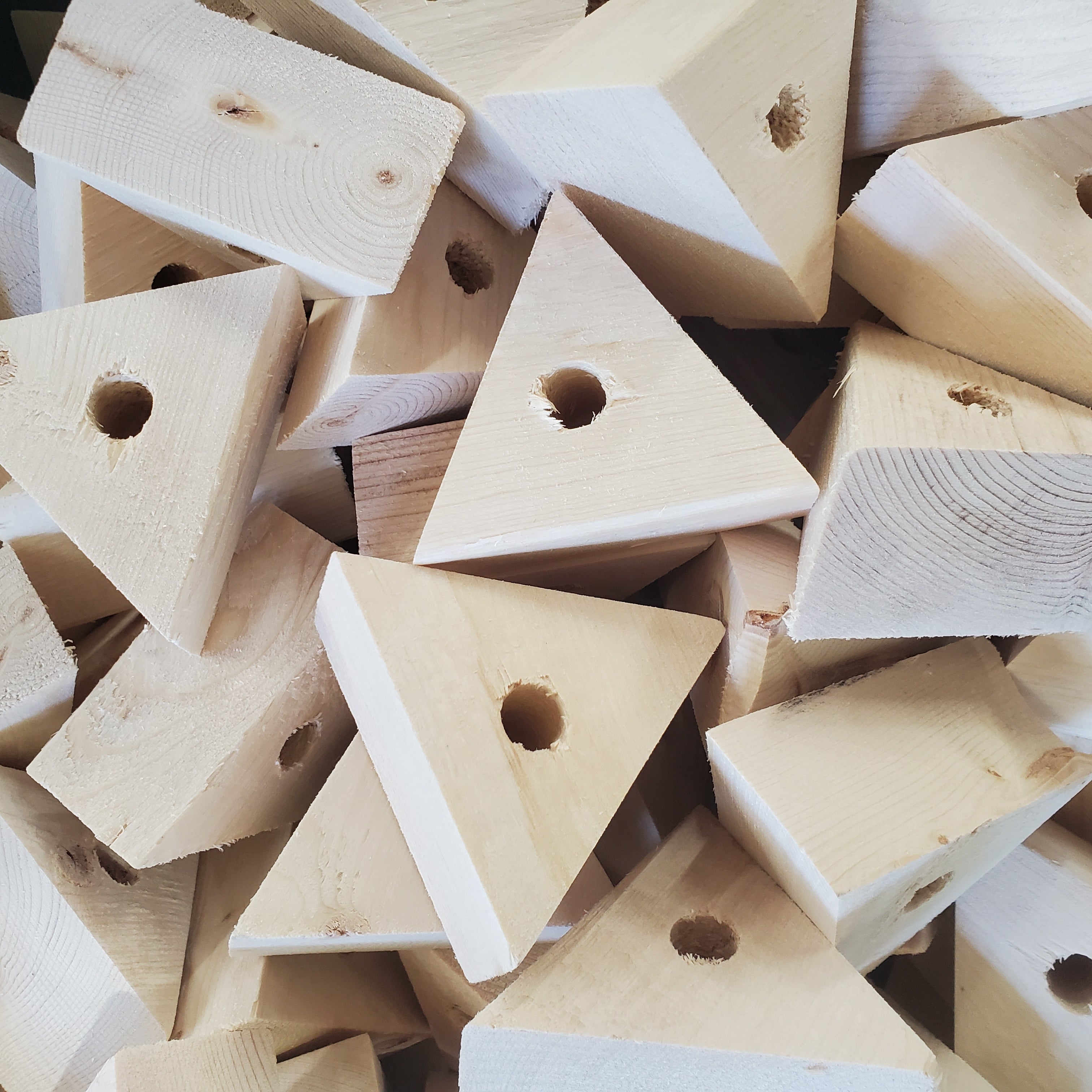 3" Big Pine Triangles - 6 Pack