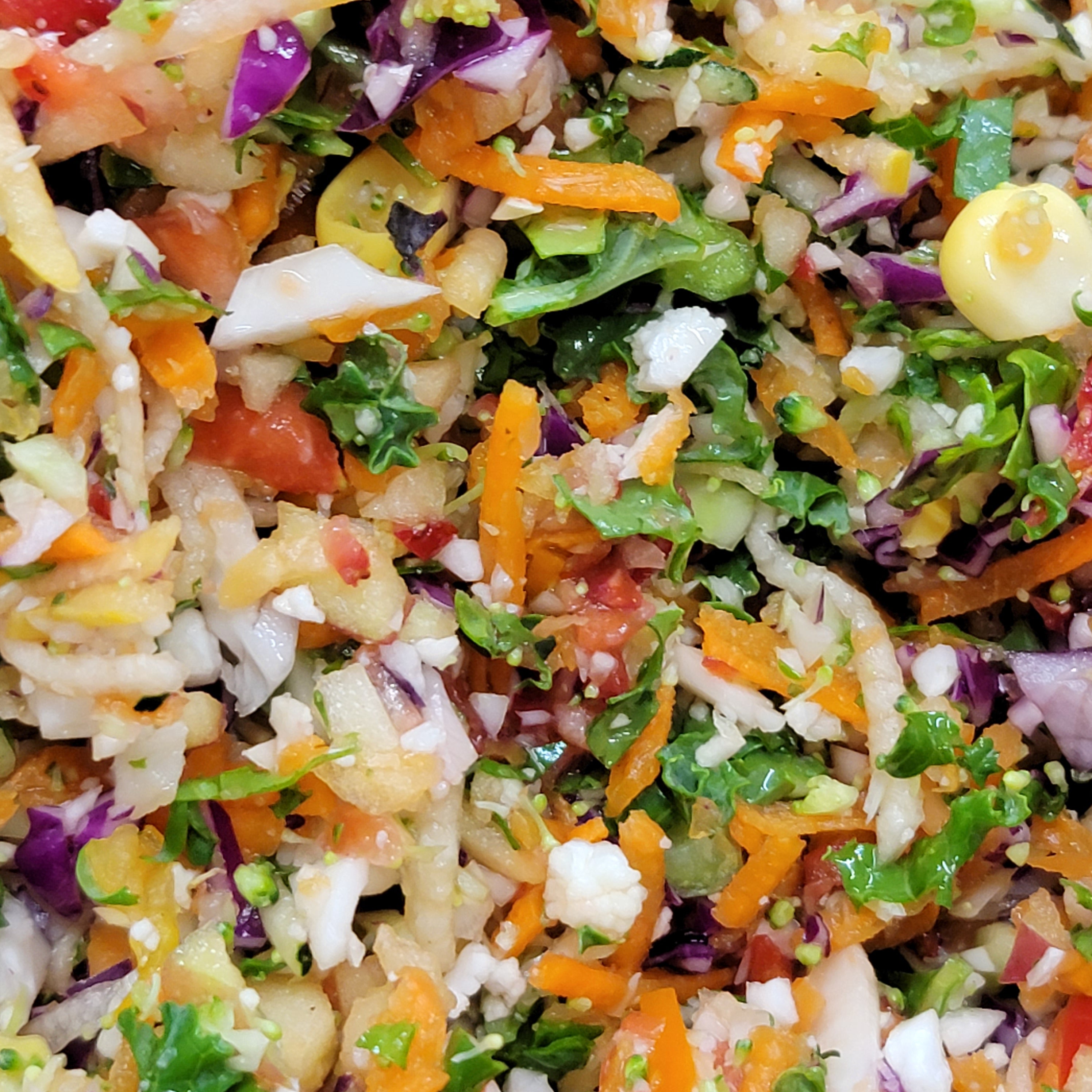 Bird Bites Mix & Match Samples