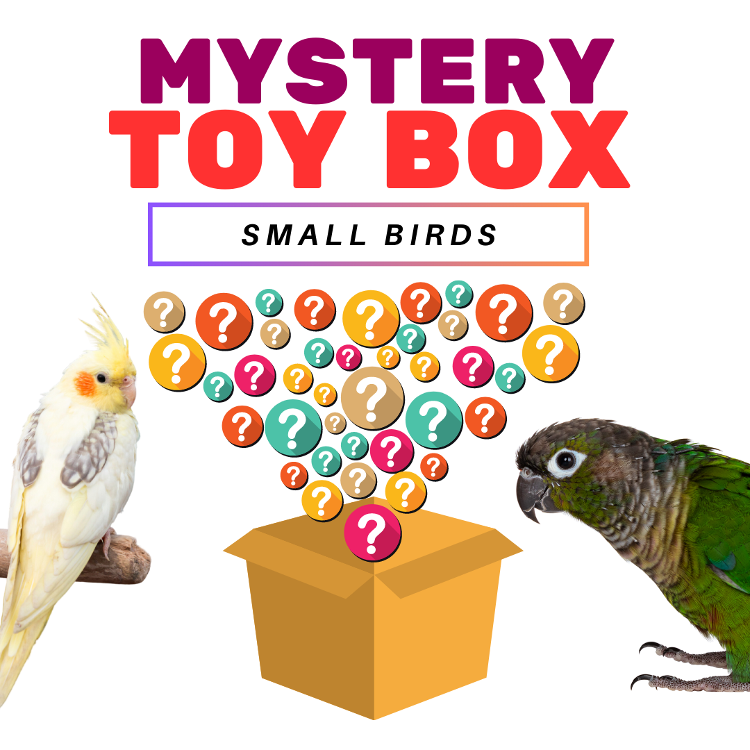 Mystery Toy Box - Small Birds