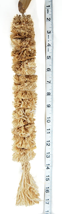 Corn Husk Caterpillar