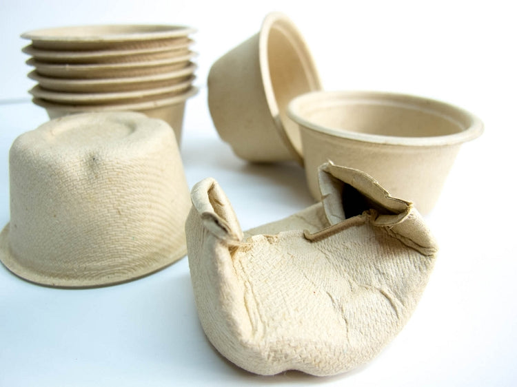Free Natural Munchie Cups
