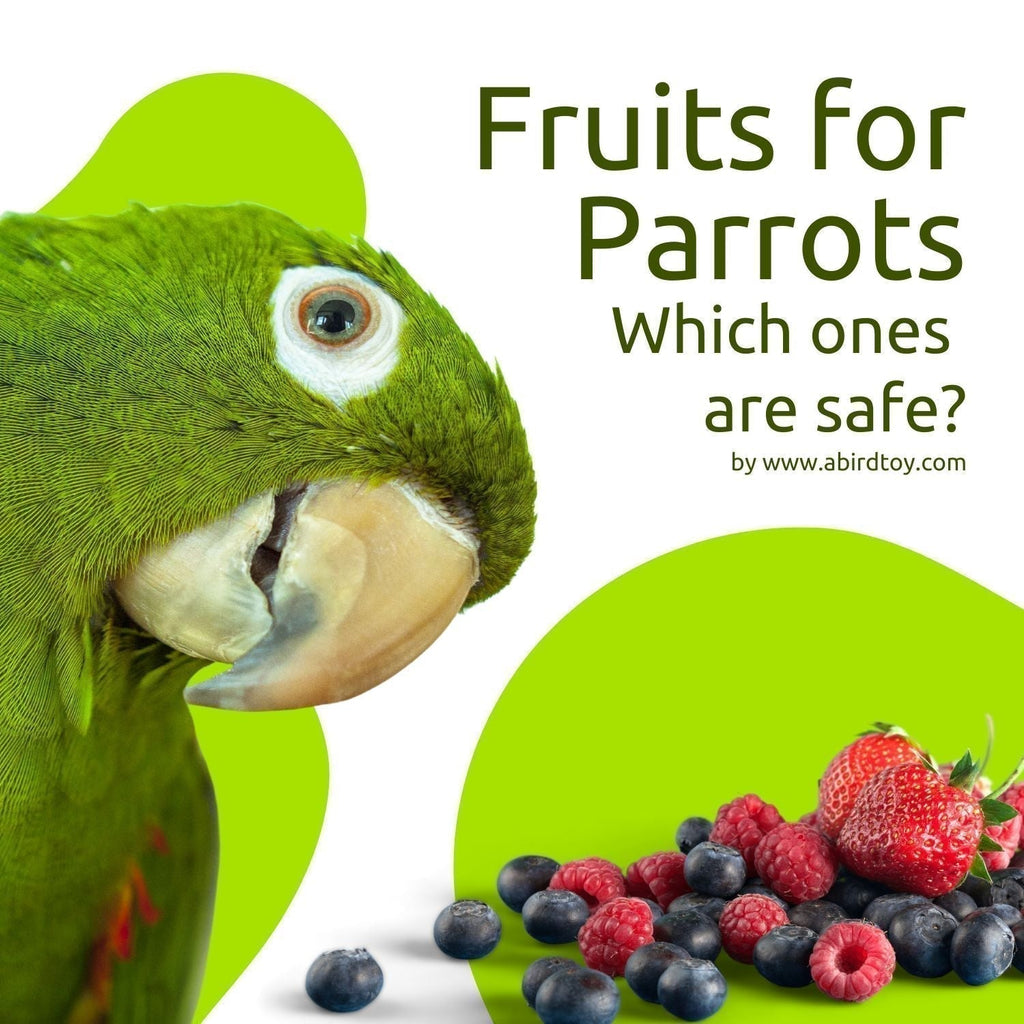 What Fruit Do Not Feed to Birds: Essential Guide to Avoid Harm