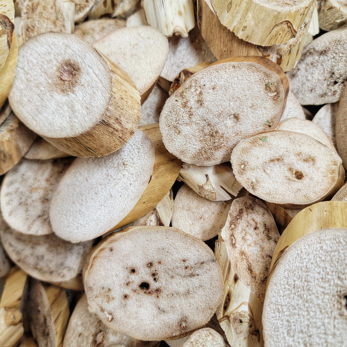 Balsa Cork Yucca and Sola Bird Toy Parts