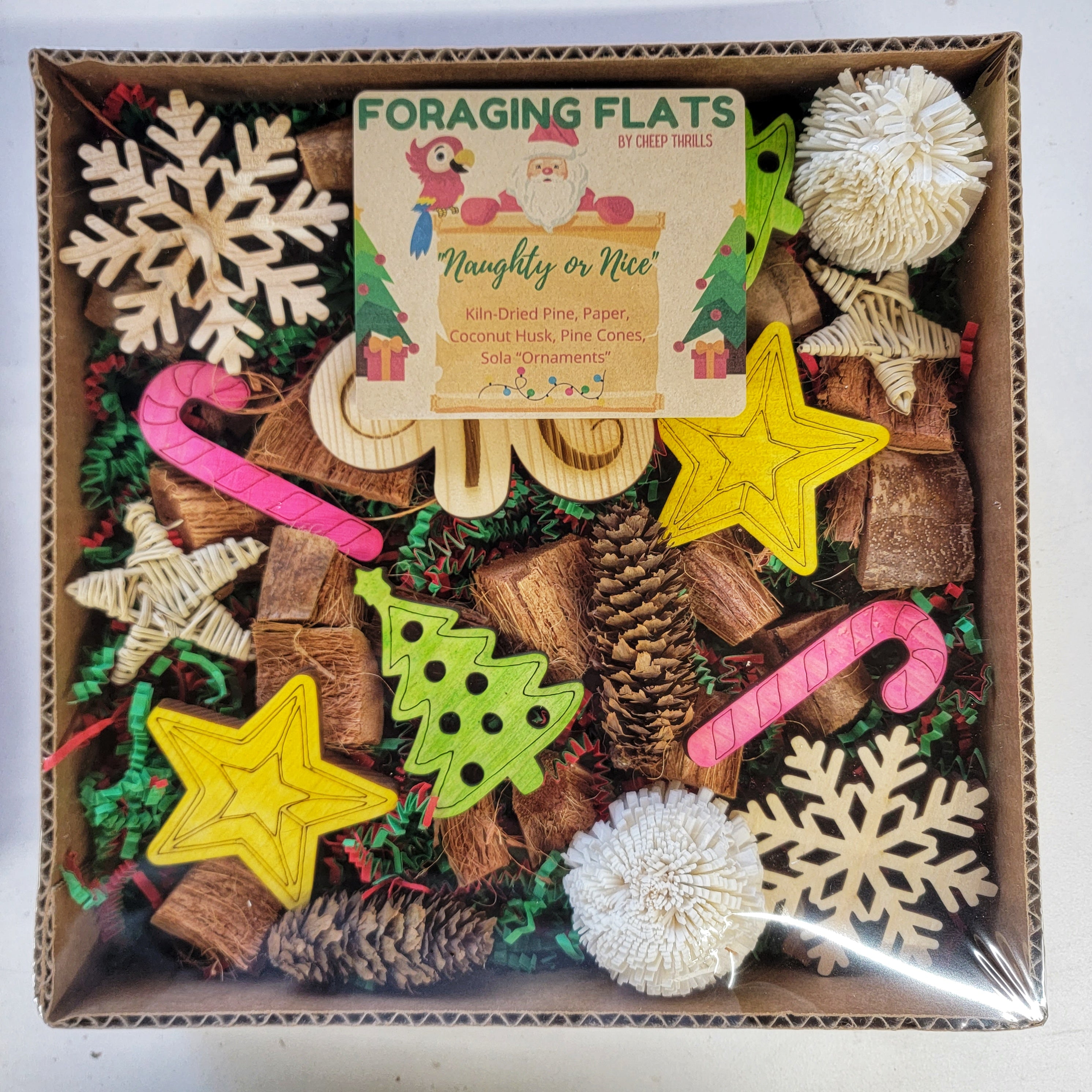 "BYOT" Holiday Foraging Flat - Naughty... or Nice?