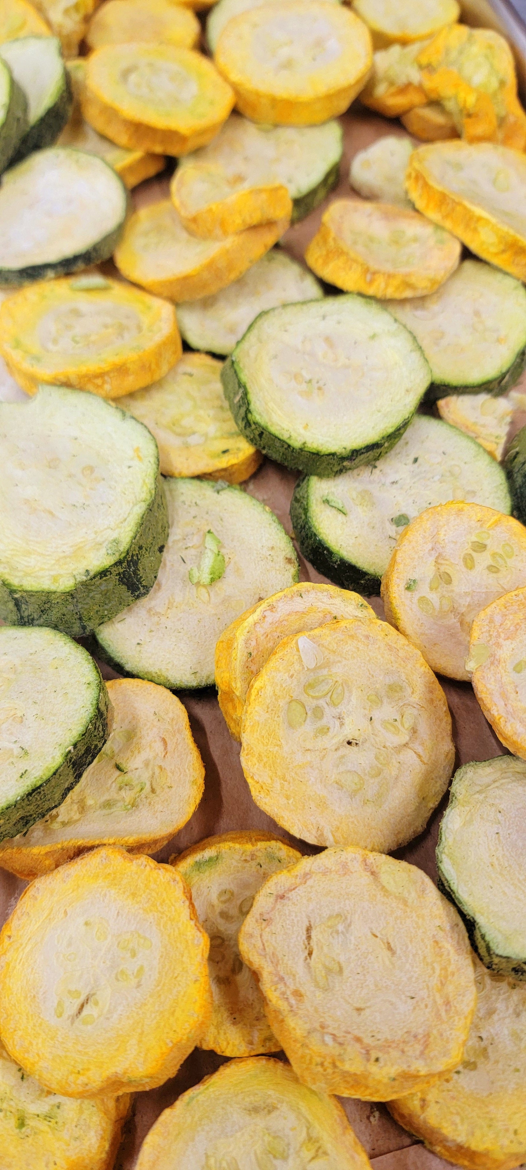 100% Zucchini & Yellow Squash - 1.5 Cups - Bird Bites Healthy Freeze Dried Treats