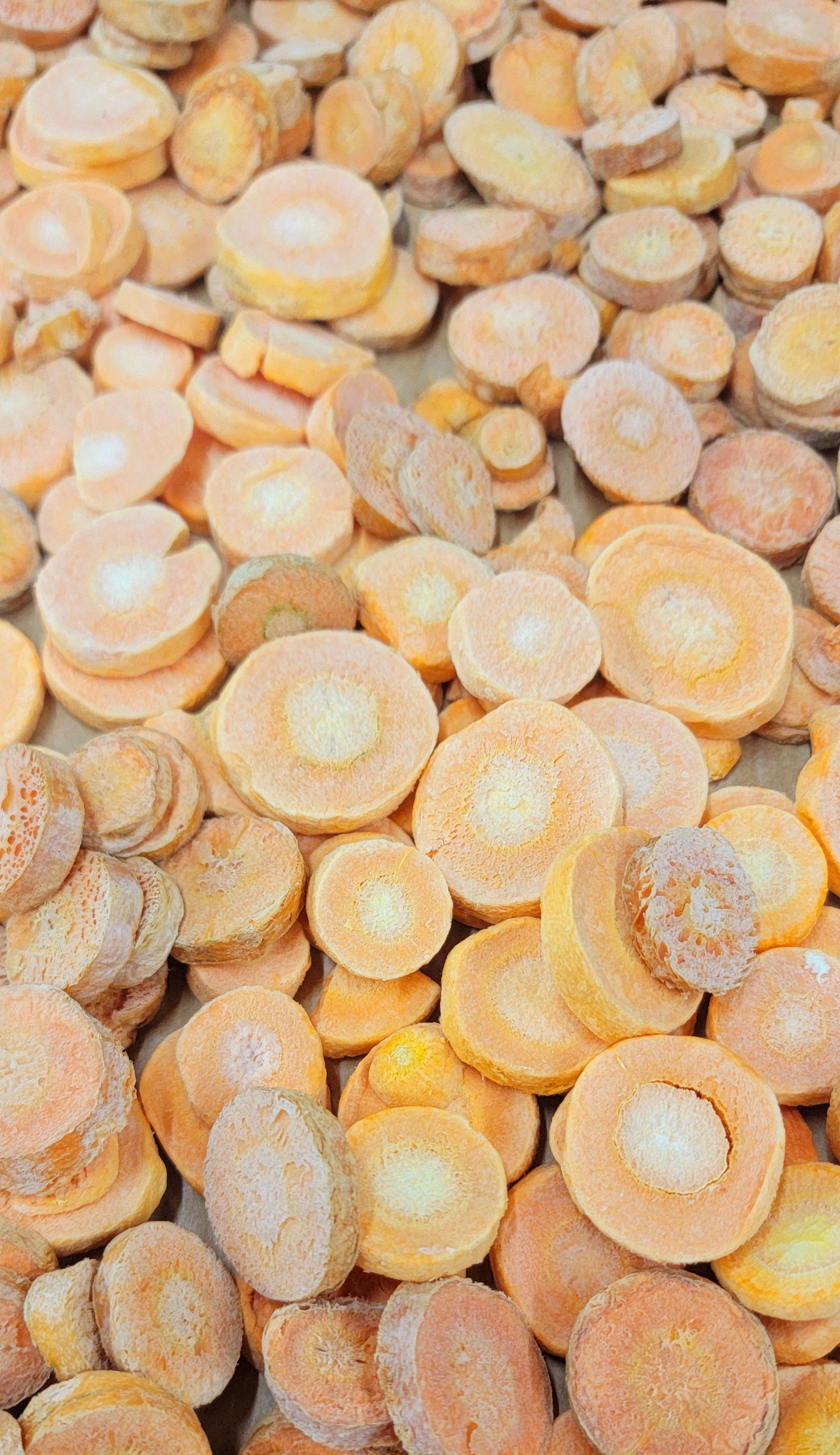 100% Carrots - 1.5 Cups - Bird Bites Healthy Freeze Dried Treats