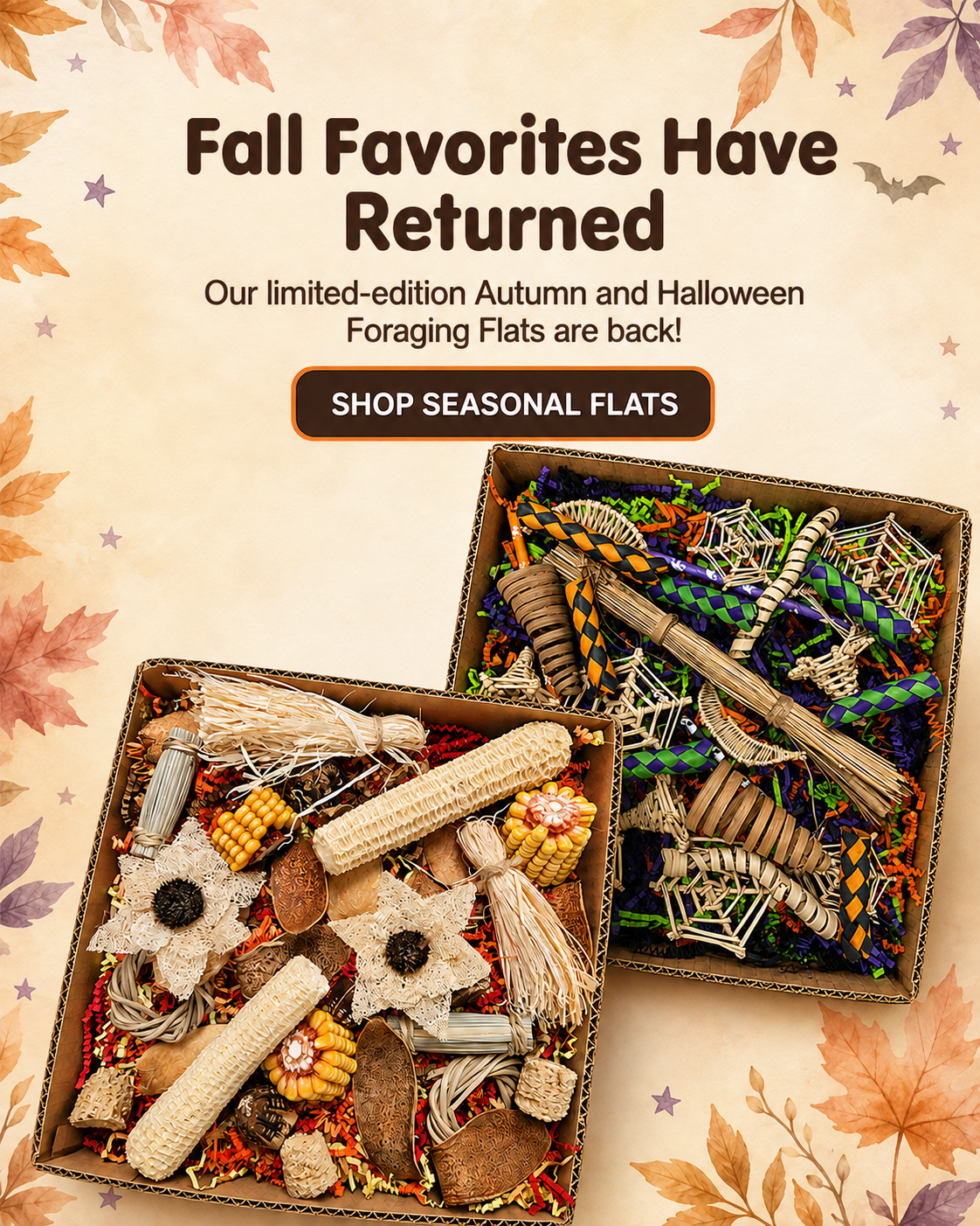 Autumn and Halloween Foraging Flats for parrots and pet birds