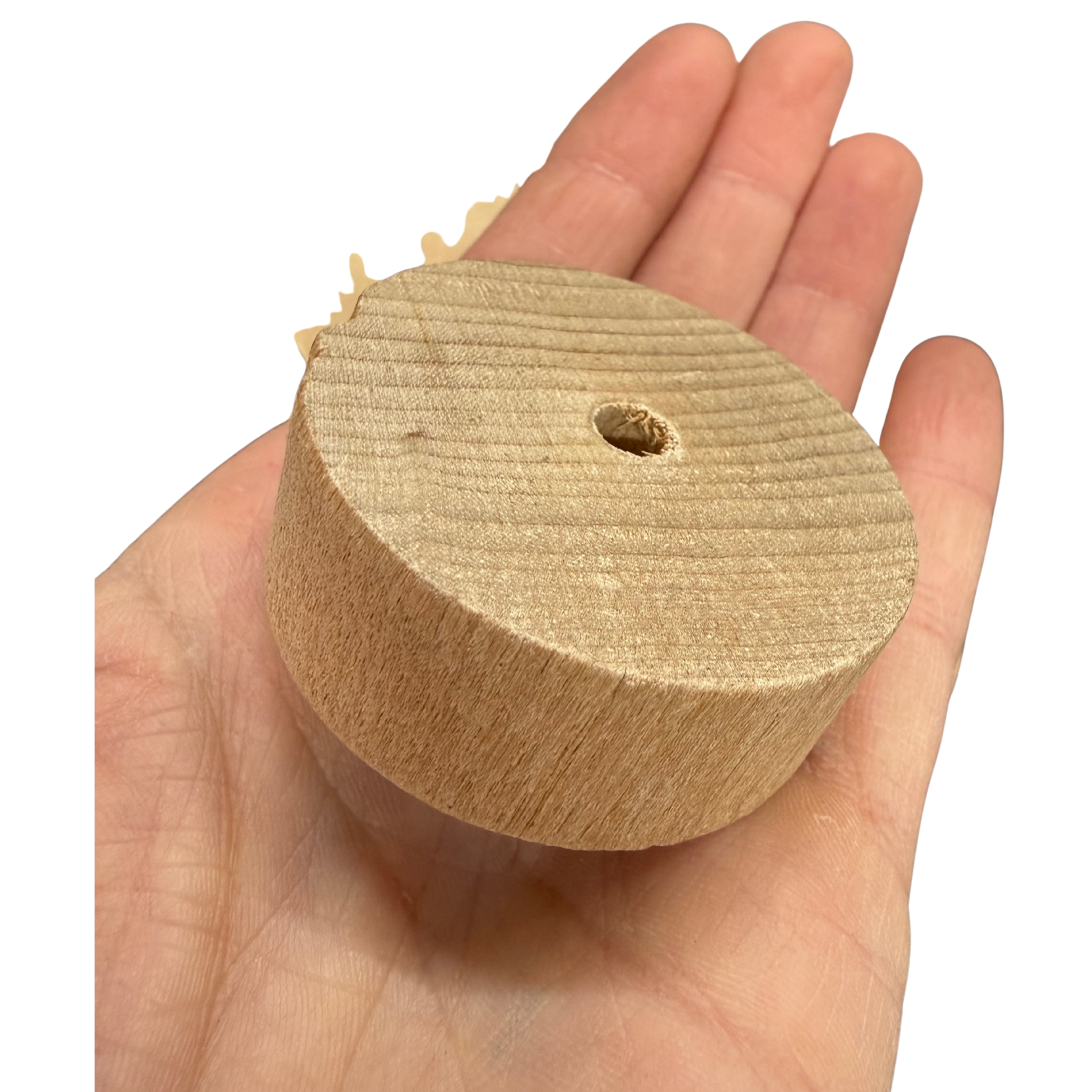 Thick Wood Disks - 10 Pack