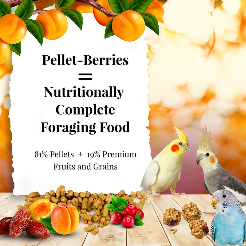 Pellet-Berries for Small Birds 10 oz