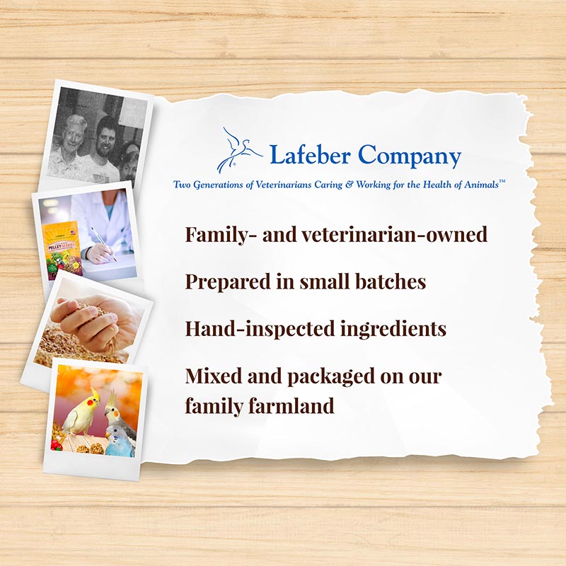 Pellet-Berries for Small Birds 10 oz