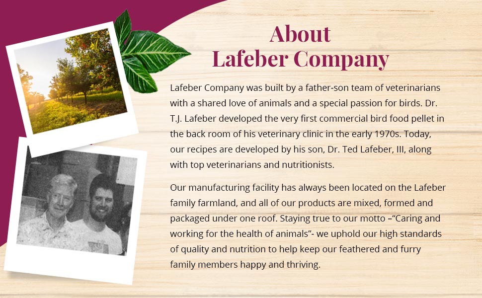 Pellet-Berries for Parrots 10 oz