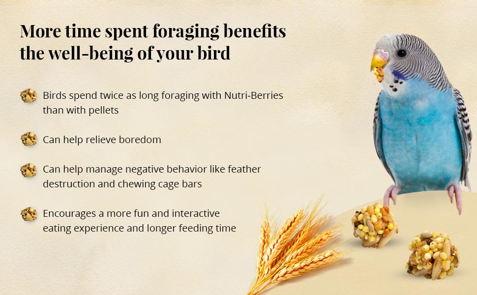 Parakeet Nutri-Berries 4 lb (1.81 kg)