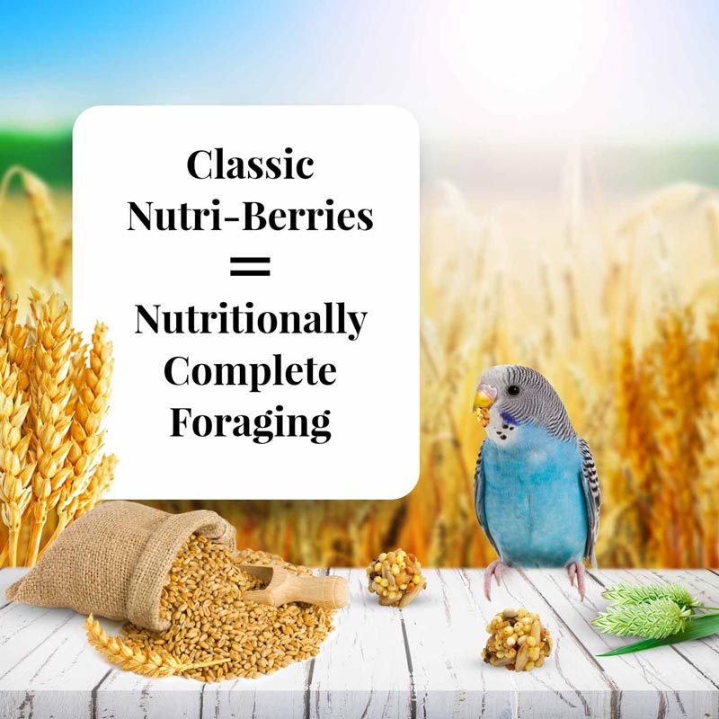 Parakeet Nutri-Berries 4 lb (1.81 kg)
