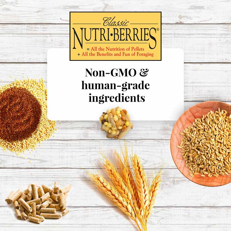 Parakeet Nutri-Berries 4 lb (1.81 kg)