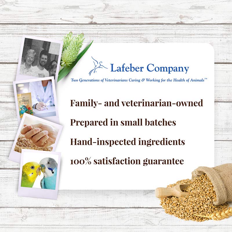 Parakeet Nutri-Berries 4 lb (1.81 kg)