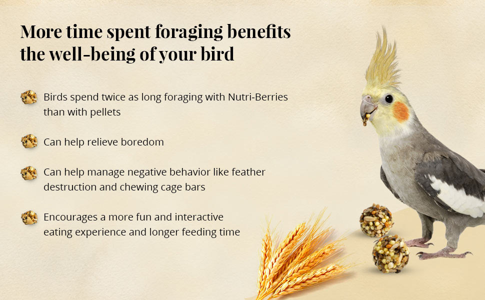 Cockatiel & Lovebird Nutri-Berries 4 lb (1.18 kg)