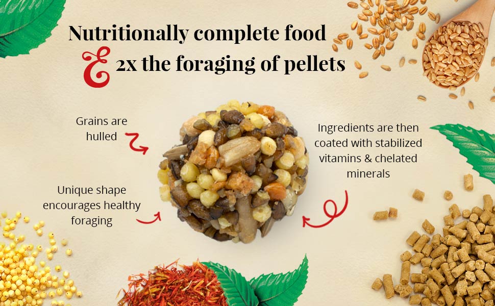 Cockatiel & Lovebird Nutri-Berries 4 lb (1.18 kg)