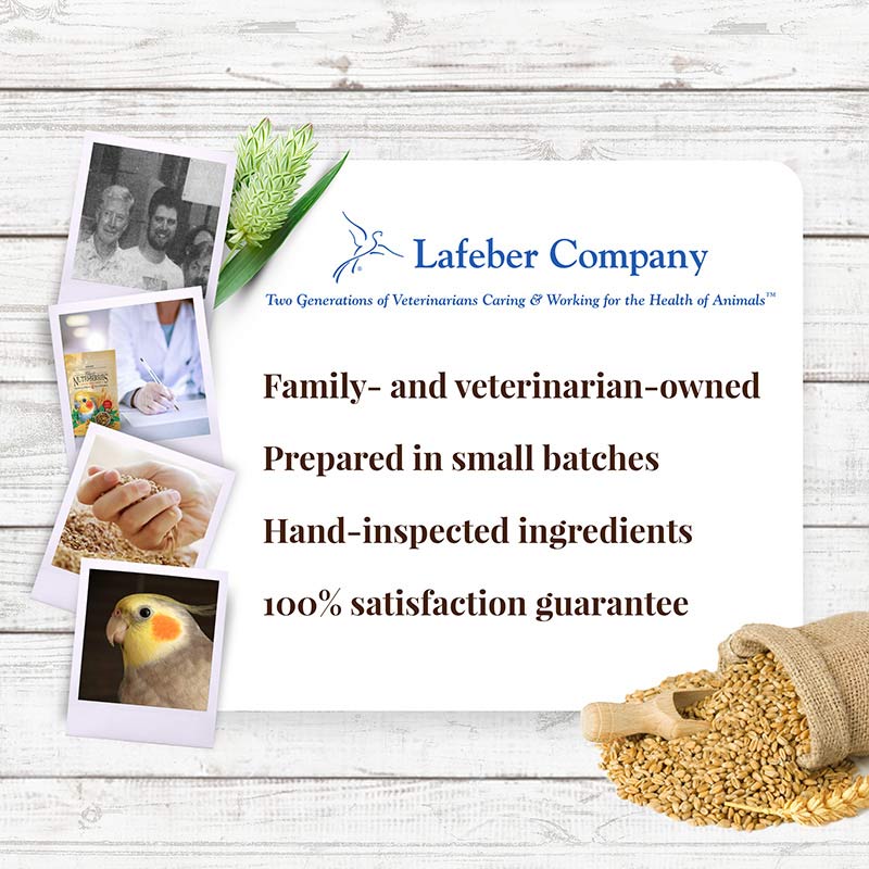 Cockatiel & Lovebird Nutri-Berries 4 lb (1.18 kg)