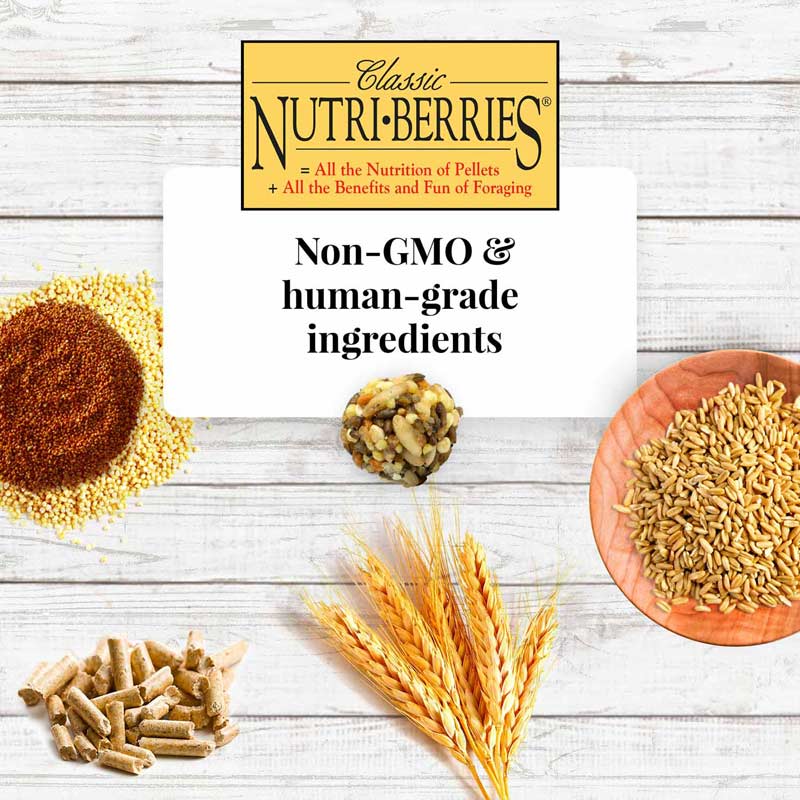 Cockatiel & Lovebird Nutri-Berries 4 lb (1.18 kg)