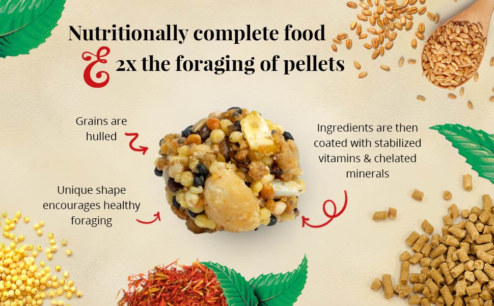 Parrot Nutri-Berries 3.25 lb (1.47 kg)