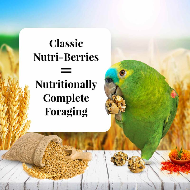 Parrot Nutri-Berries 3.25 lb (1.47 kg)